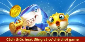 Hướng Dẫn Cách Chơi Bắn Cá Royal Fishing Tại BK8 Thắng Lớn Nhanh Chóng