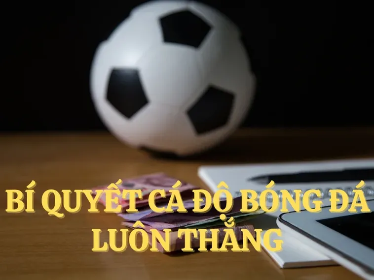 Tìm Hiểu Cá Cược Bóng Đá BK8 Đầy Hấp Dẫn Và Kịch Tính
