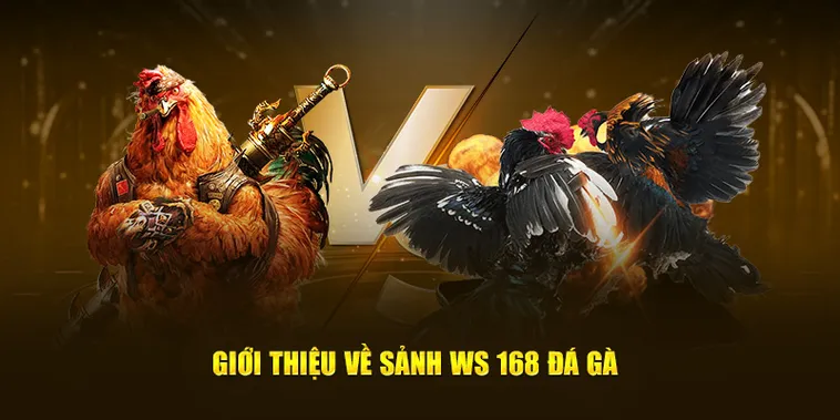 Cách Chơi Đá Gà WS168 Tại BK8 Hấp Dẫn Cho Người Mới