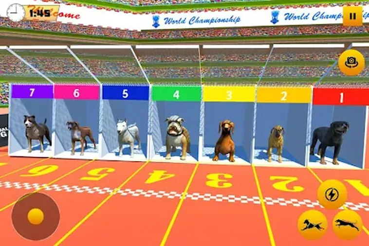 Hướng Dẫn Chơi Game Nhanh Đua Chó Tại BK8 Vui Tươi Và Dễ Thắng