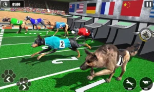 Hướng Dẫn Chơi Game Nhanh Đua Chó Tại BK8 Vui Tươi Và Dễ Thắng