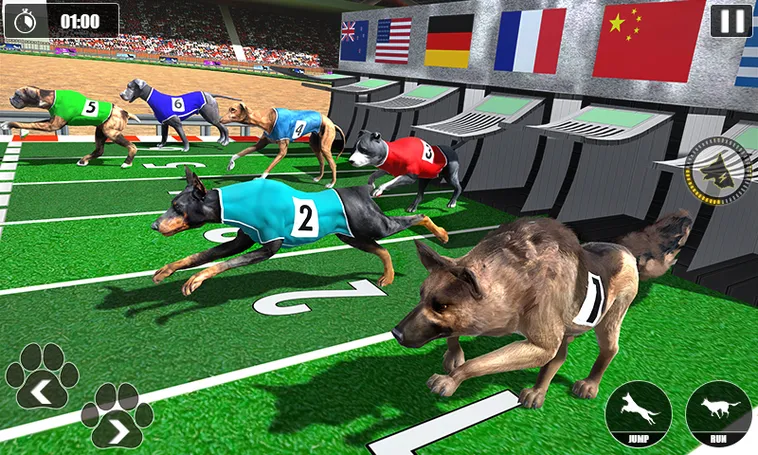 Hướng Dẫn Chơi Game Nhanh Đua Chó Tại BK8 Vui Tươi Và Dễ Thắng