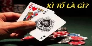 Khám Phá Trò Chơi Xì Tố Tại BK8 Cực Hấp Dẫn Và Thú Vị